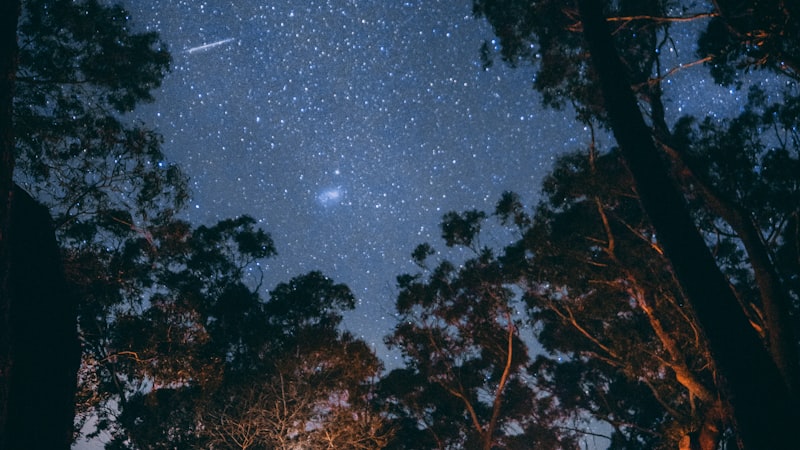 家庭用户在森林星空下使用露营装备享受温馨露营夜晚的画面